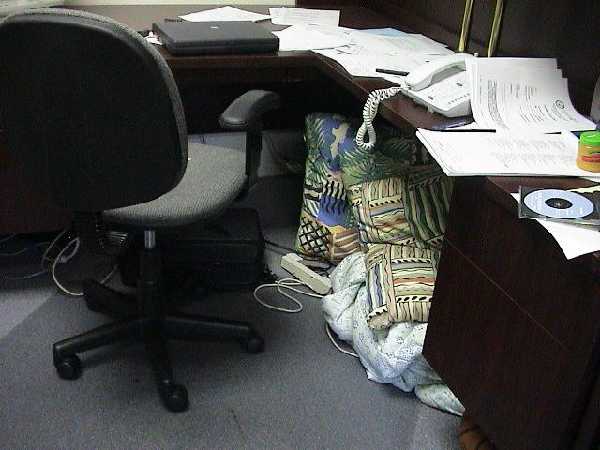 Sleeping in the Office