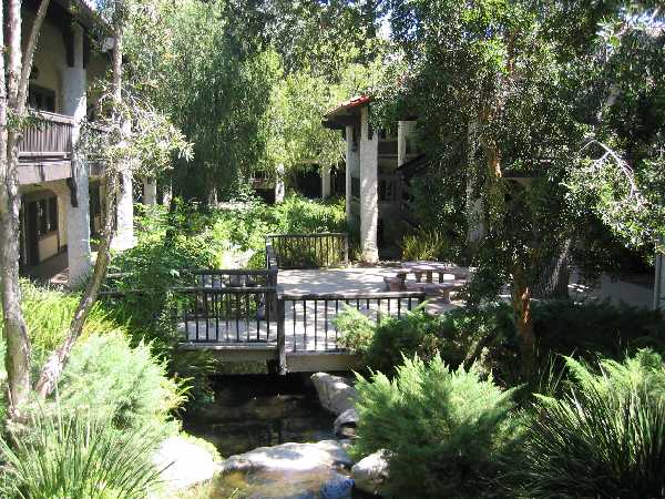 Westlake Office under oak tree
